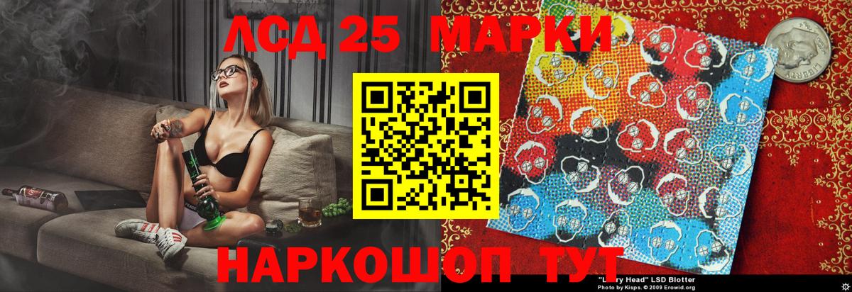 купить наркотики сайты  Марки 25I-NBOMe  Элиста  Вход с VPN  Марки NBOMe 1500мкг 
