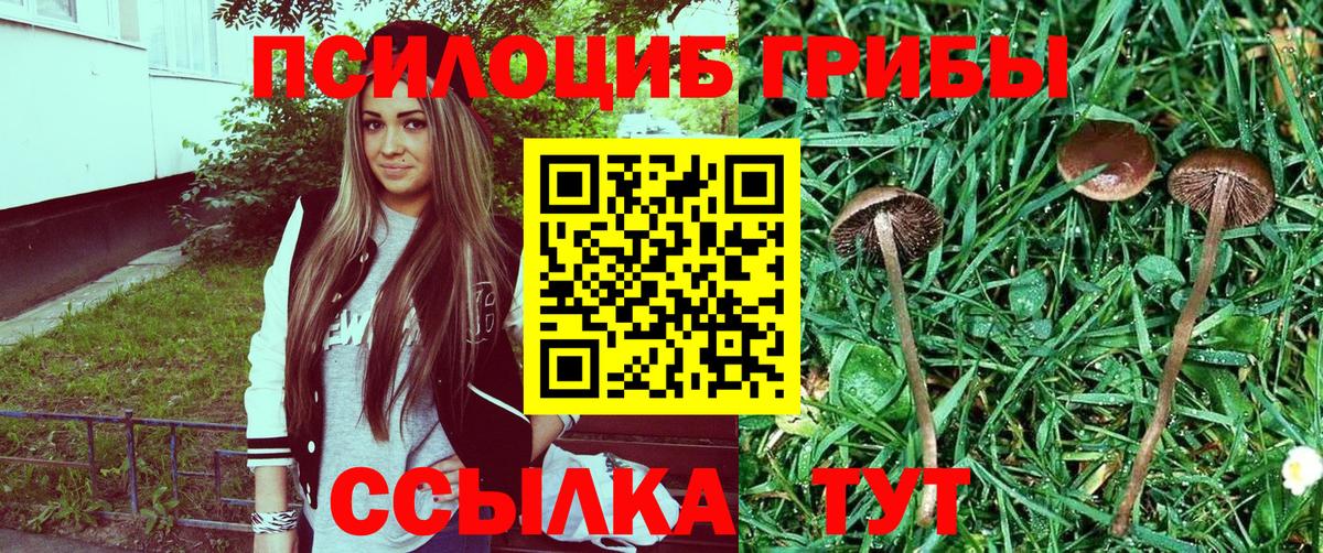 Псилоцибиновые грибы MAGIC MUSHROOMS Элиста