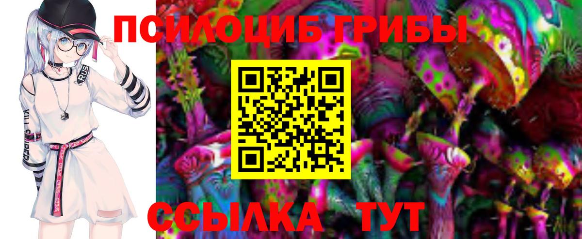 Галлюциногенные грибы прущие грибы  Вход с VPN  Элиста  Галлюциногенные грибы Cubensis 
